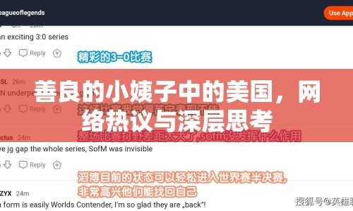 善良的小姨子中的美國，網(wǎng)絡熱議與深層思考