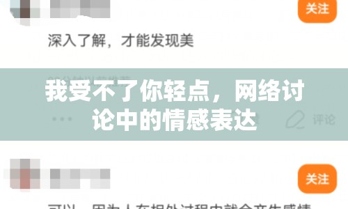 我受不了你輕點，網(wǎng)絡(luò)討論中的情感表達