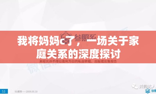 我將媽媽c了，一場關(guān)于家庭關(guān)系的深度探討