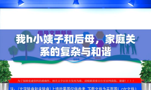 我h小姨子和后母，家庭關系的復雜與和諧
