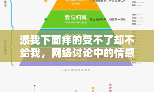 添我下面癢的受不了卻不給我，網(wǎng)絡(luò)討論中的情感與需求