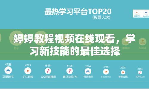 婷婷教程視頻在線觀看，學習新技能的最佳選擇