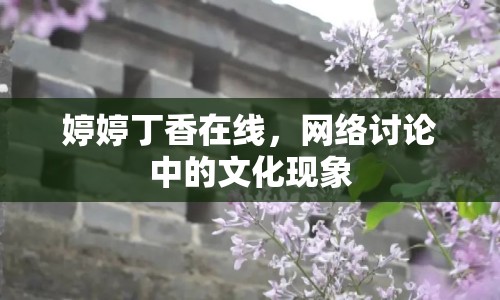 婷婷丁香在線，網(wǎng)絡(luò)討論中的文化現(xiàn)象