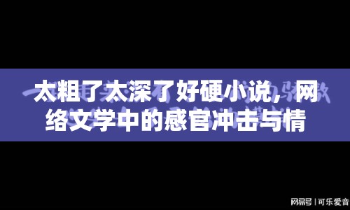 太粗了太深了好硬小說，網(wǎng)絡(luò)文學(xué)中的感官?zèng)_擊與情感共鳴