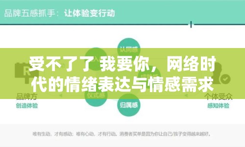 受不了了 我要你，網(wǎng)絡(luò)時代的情緒表達與情感需求