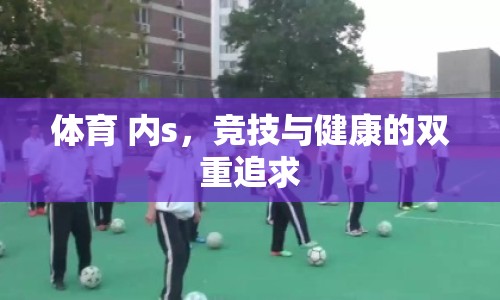 體育 內(nèi)s，競技與健康的雙重追求