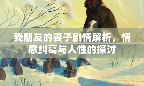 我朋友的妻子劇情解析，情感糾葛與人性的探討