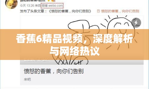 香蕉6精品視頻，深度解析與網(wǎng)絡(luò)熱議