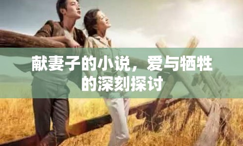 獻(xiàn)妻子的小說(shuō)，愛(ài)與犧牲的深刻探討