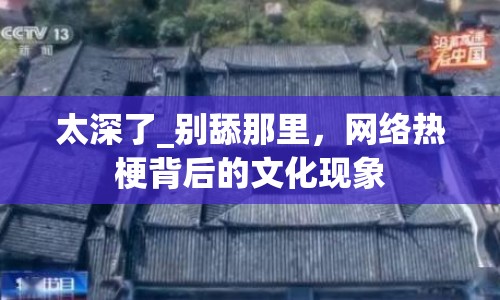 太深了_別舔那里，網(wǎng)絡(luò)熱梗背后的文化現(xiàn)象
