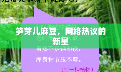 筍芽兒麻豆，網(wǎng)絡(luò)熱議的新星