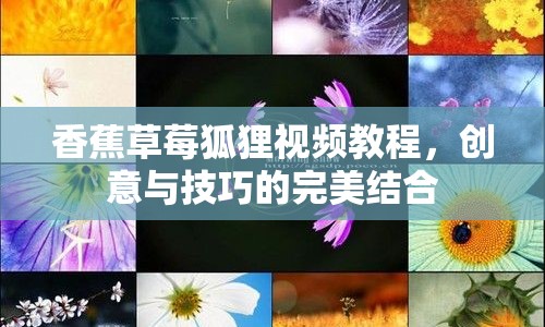 香蕉草莓狐貍視頻教程，創(chuàng)意與技巧的完美結(jié)合