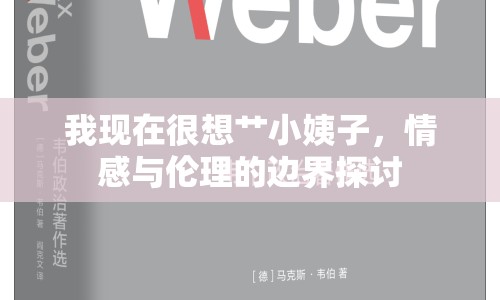 我現(xiàn)在很想艸小姨子，情感與倫理的邊界探討