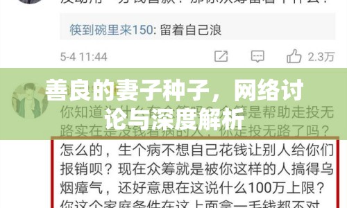 善良的妻子種子，網(wǎng)絡(luò)討論與深度解析