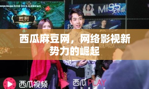 西瓜麻豆網(wǎng)，網(wǎng)絡(luò)影視新勢(shì)力的崛起
