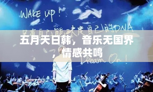 五月天日韓，音樂無國界，情感共鳴