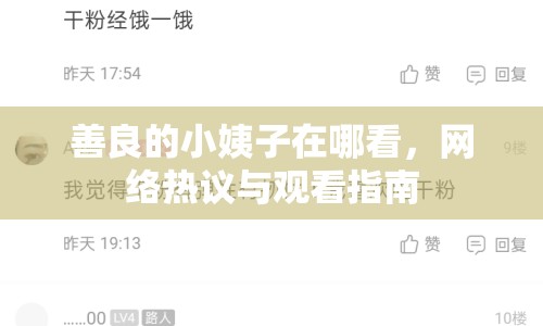 善良的小姨子在哪看，網(wǎng)絡(luò)熱議與觀看指南