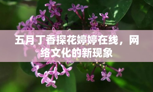 五月丁香探花婷婷在線，網(wǎng)絡文化的新現(xiàn)象