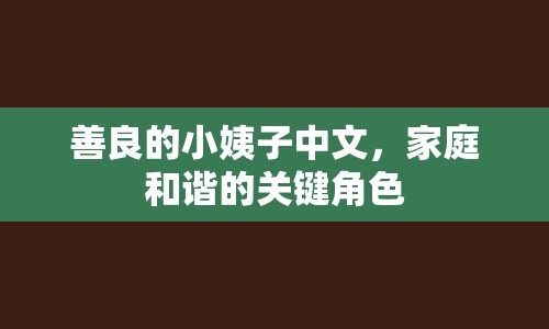 善良的小姨子中文，家庭和諧的關(guān)鍵角色