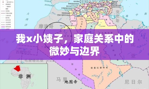 我x小姨子，家庭關(guān)系中的微妙與邊界