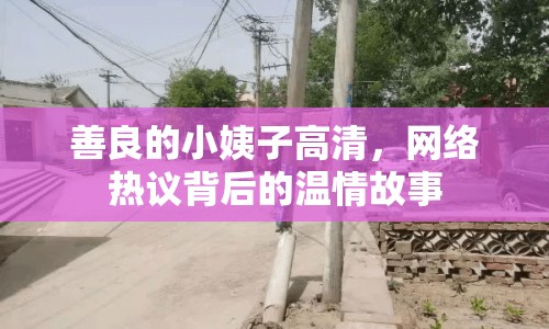 善良的小姨子高清，網(wǎng)絡(luò)熱議背后的溫情故事