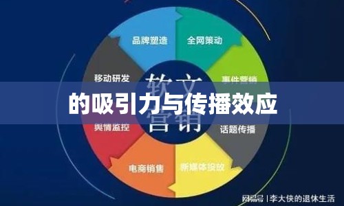 的吸引力與傳播效應(yīng)