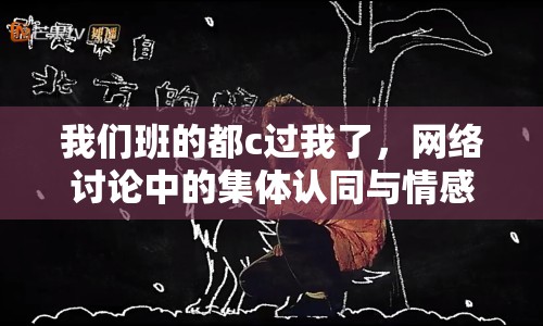 我們班的都c過(guò)我了，網(wǎng)絡(luò)討論中的集體認(rèn)同與情感共鳴