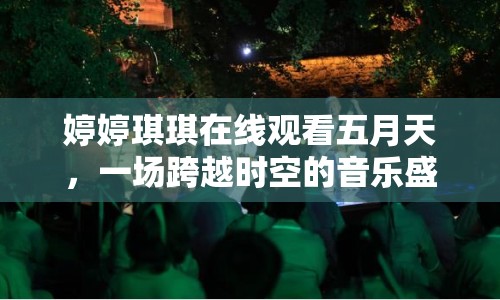 婷婷琪琪在線觀看五月天，一場跨越時空的音樂盛宴