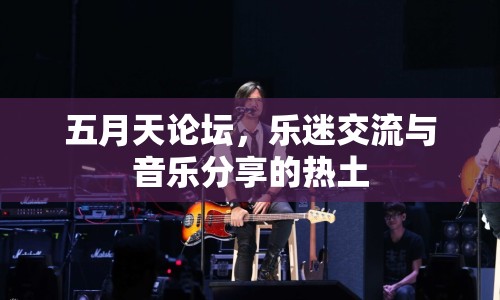 五月天論壇，樂迷交流與音樂分享的熱土