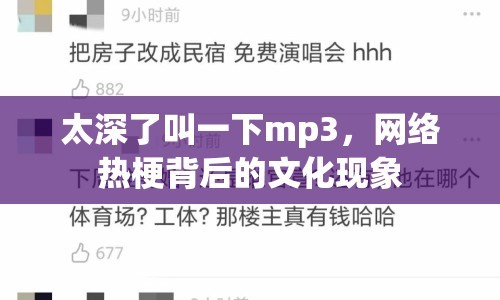 太深了叫一下mp3，網(wǎng)絡(luò)熱梗背后的文化現(xiàn)象