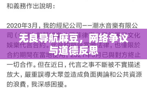無良導(dǎo)航麻豆，網(wǎng)絡(luò)爭(zhēng)議與道德反思