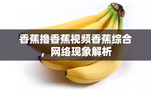 香蕉擼香蕉視頻香蕉綜合，網(wǎng)絡(luò)現(xiàn)象解析