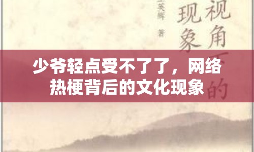 少爺輕點受不了了，網(wǎng)絡熱梗背后的文化現(xiàn)象