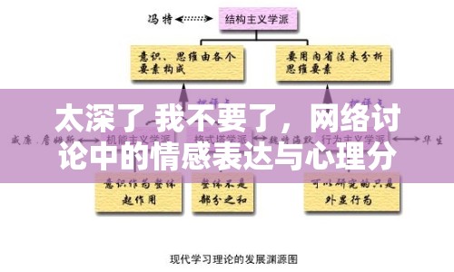 太深了 我不要了，網(wǎng)絡(luò)討論中的情感表達與心理分析