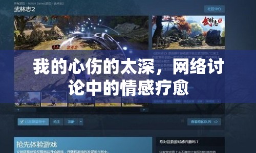 我的心傷的太深，網(wǎng)絡(luò)討論中的情感療愈