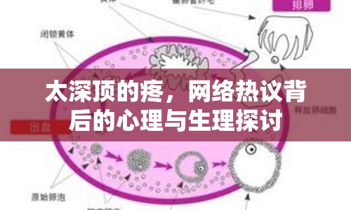 太深頂?shù)奶?，網(wǎng)絡(luò)熱議背后的心理與生理探討
