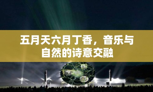 五月天六月丁香，音樂與自然的詩(shī)意交融