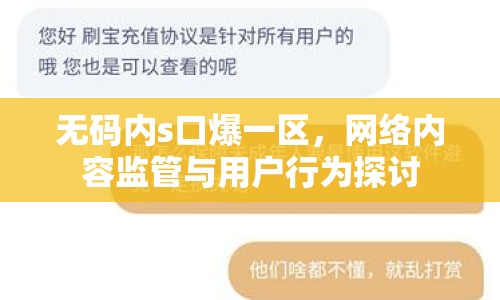 無(wú)碼內(nèi)s口爆一區(qū)，網(wǎng)絡(luò)內(nèi)容監(jiān)管與用戶行為探討