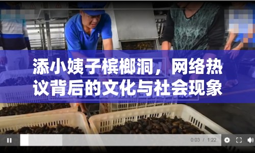 添小姨子檳榔洞，網(wǎng)絡(luò)熱議背后的文化與社會現(xiàn)象