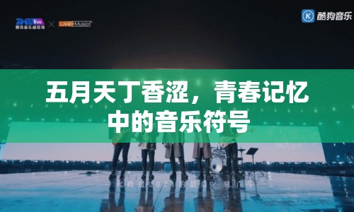 五月天丁香澀，青春記憶中的音樂符號(hào)