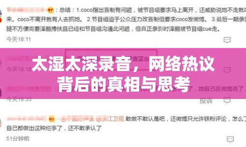 太濕太深錄音，網(wǎng)絡(luò)熱議背后的真相與思考