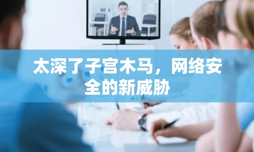 太深了子宮木馬，網(wǎng)絡(luò)安全的新威脅