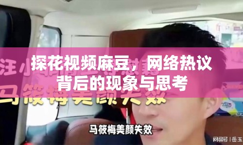 探花視頻麻豆，網(wǎng)絡熱議背后的現(xiàn)象與思考