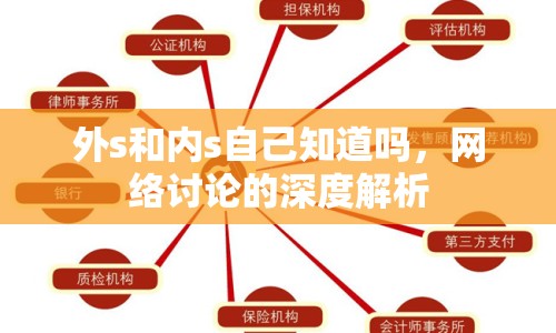 外s和內(nèi)s自己知道嗎，網(wǎng)絡(luò)討論的深度解析