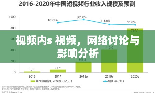 視頻內s 視頻，網絡討論與影響分析