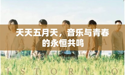 天天五月天，音樂與青春的永恒共鳴
