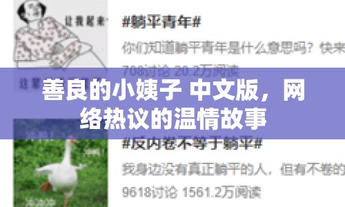 善良的小姨子 中文版，網絡熱議的溫情故事