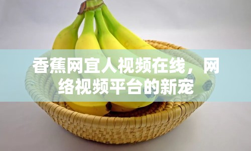 香蕉網(wǎng)宜人視頻在線，網(wǎng)絡(luò)視頻平臺(tái)的新寵