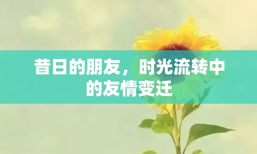 昔日的朋友，時光流轉(zhuǎn)中的友情變遷