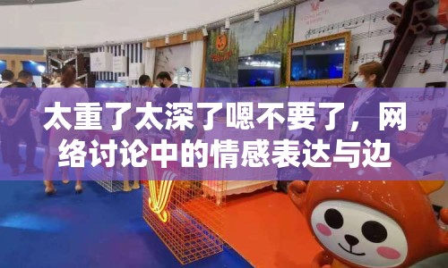 太重了太深了嗯不要了，網(wǎng)絡(luò)討論中的情感表達(dá)與邊界探索